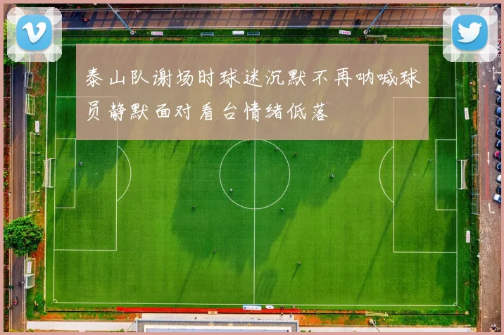 泰山队谢场时球迷沉默不再呐喊球员静默面对看台情绪低落